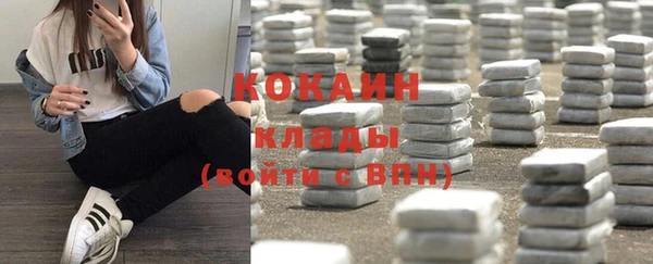 ГАЛЛЮЦИНОГЕННЫЕ ГРИБЫ Кулебаки