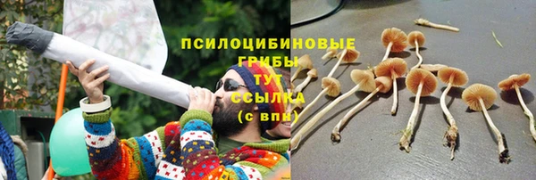 СК Лагань