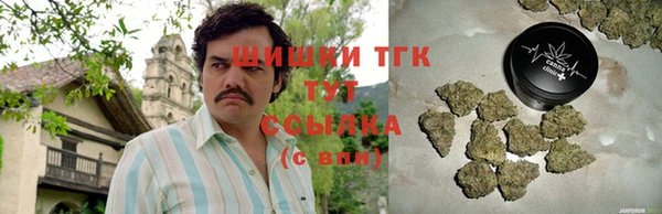 ГАЛЛЮЦИНОГЕННЫЕ ГРИБЫ Кулебаки
