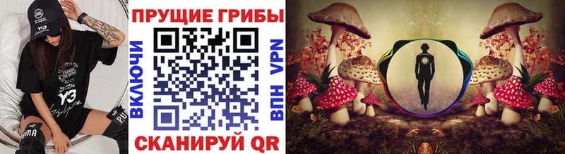 Псилоцибиновые грибы прущие грибы Медвежьегорск
